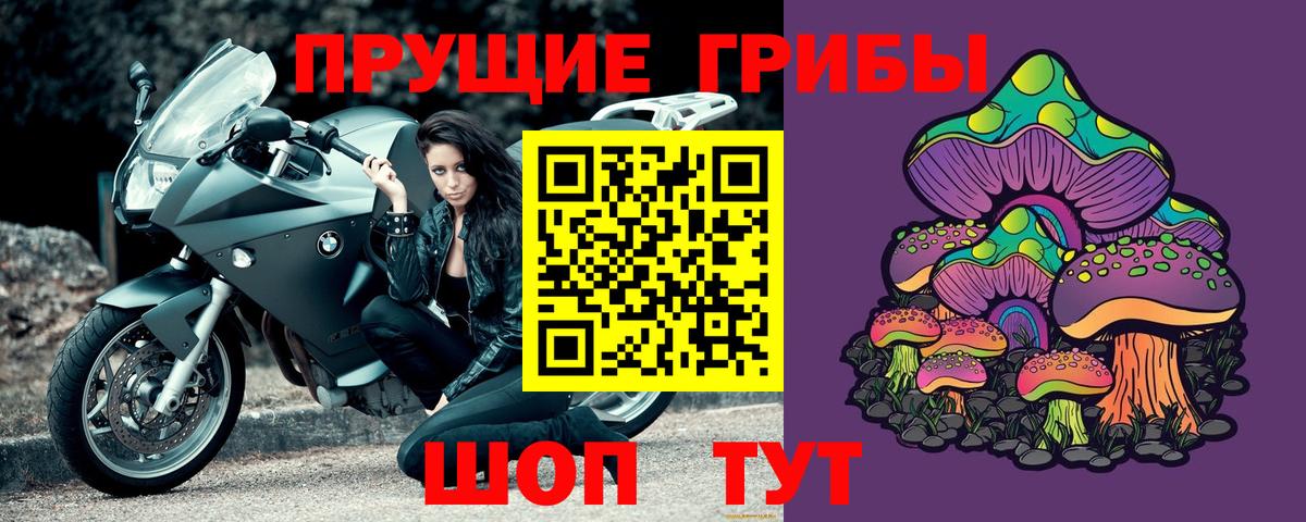 Псилоцибиновые грибы ЛСД Гусиноозёрск