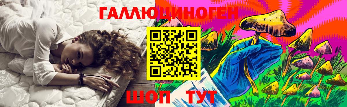 купить наркоту  Галлюциногенные грибы Psilocybine cubensis  Вход с VPN  Гусиноозёрск 